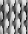 Design 6  in black and white