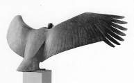 Condors Detail
