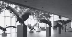 Condors sculpture